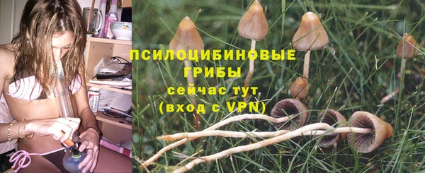 меф Заводоуковск