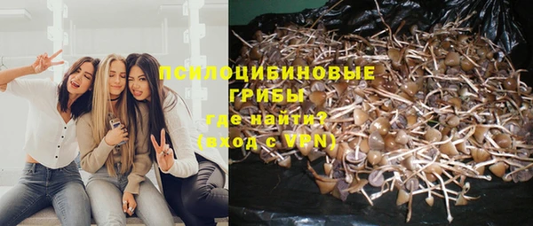 меф Заводоуковск