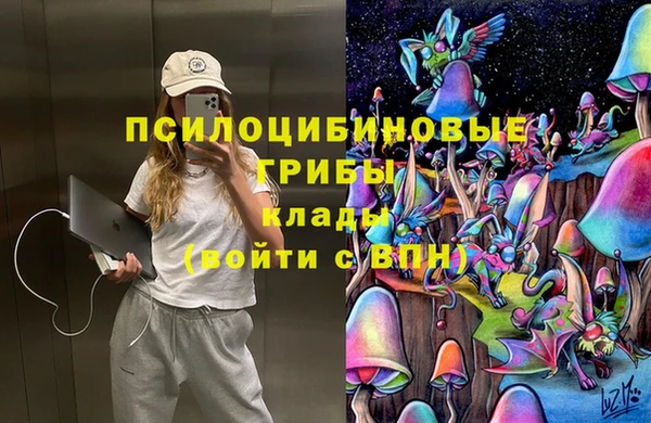 трава Заволжск