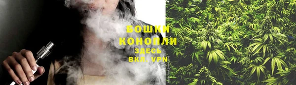трава Заволжск